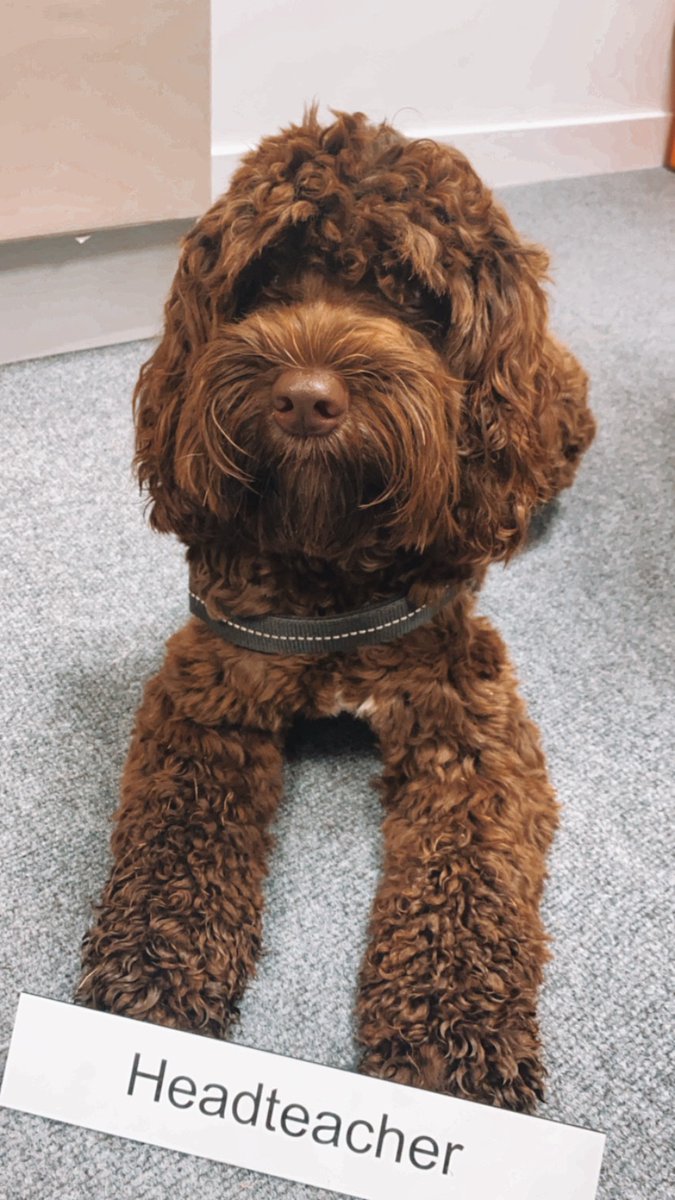 Georgina Reid tweet media