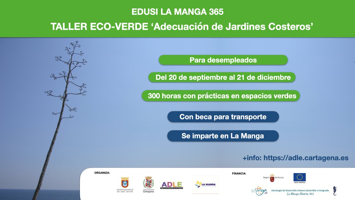 adlecartagenaes's tweet photo. La ADLE pone en marcha un Taller Ecoverde en La Manga para aprender a adecuar jardines costeros.
☑️Para desempleados
☑️Becado
☑️300 horas, con prácticas
☑️20 septiembre a 21 diciembre
Forma parte de #LaManga365
+info: https://t.co/YP8Zeuto3R
#lamangadelmarmenor
#ecoverde https://t.co/092ct8LFwU