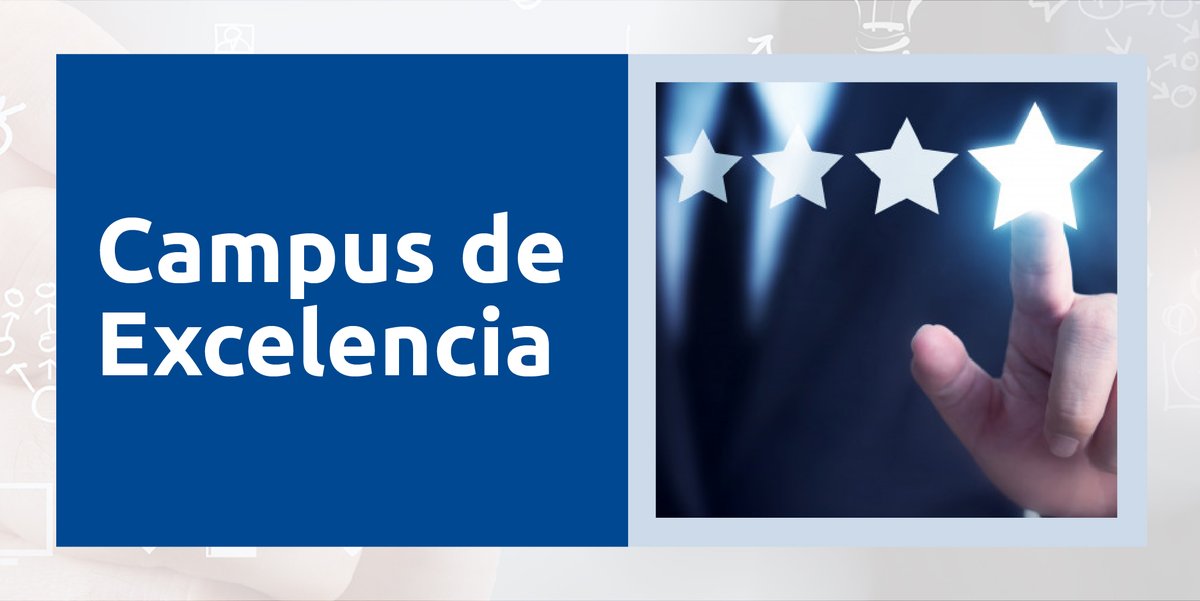 Carreira investigadora 2021 tweet media