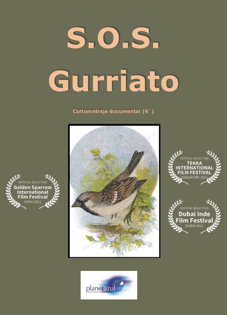 Han seleccionado nuestro corto para participar en los festivales de cine en India, Singapur y Dubái. 
Enhorabuena a todos!!
Lo puedes ver en: youtu.be/sT9xfGY2RB4
#PlanetazulProducciones
#SOSGurriato