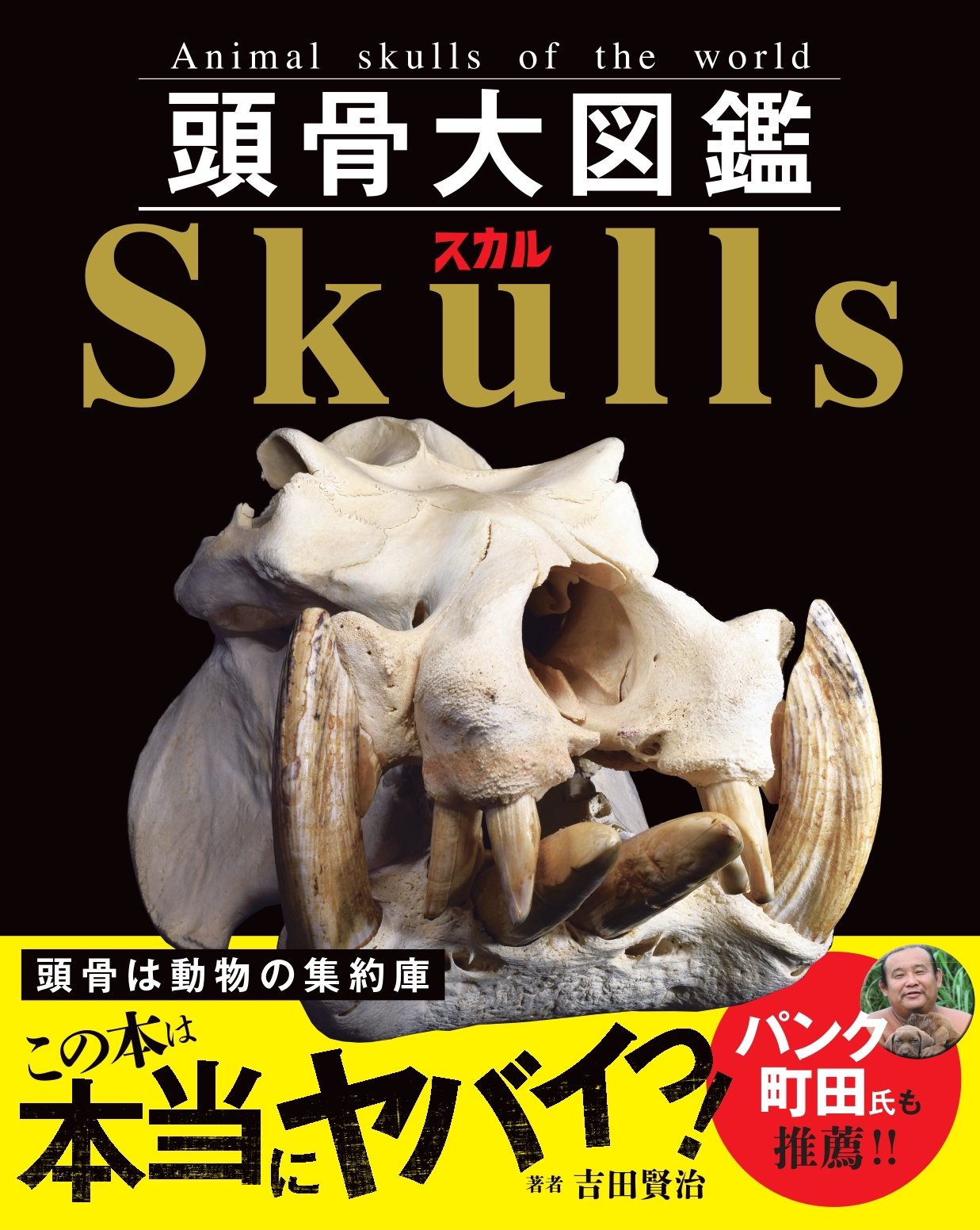 公式】頭骨大図鑑(著・吉田賢治)発売中 on X: 公式】頭骨大図鑑(著・吉田賢治)発売中 on X: