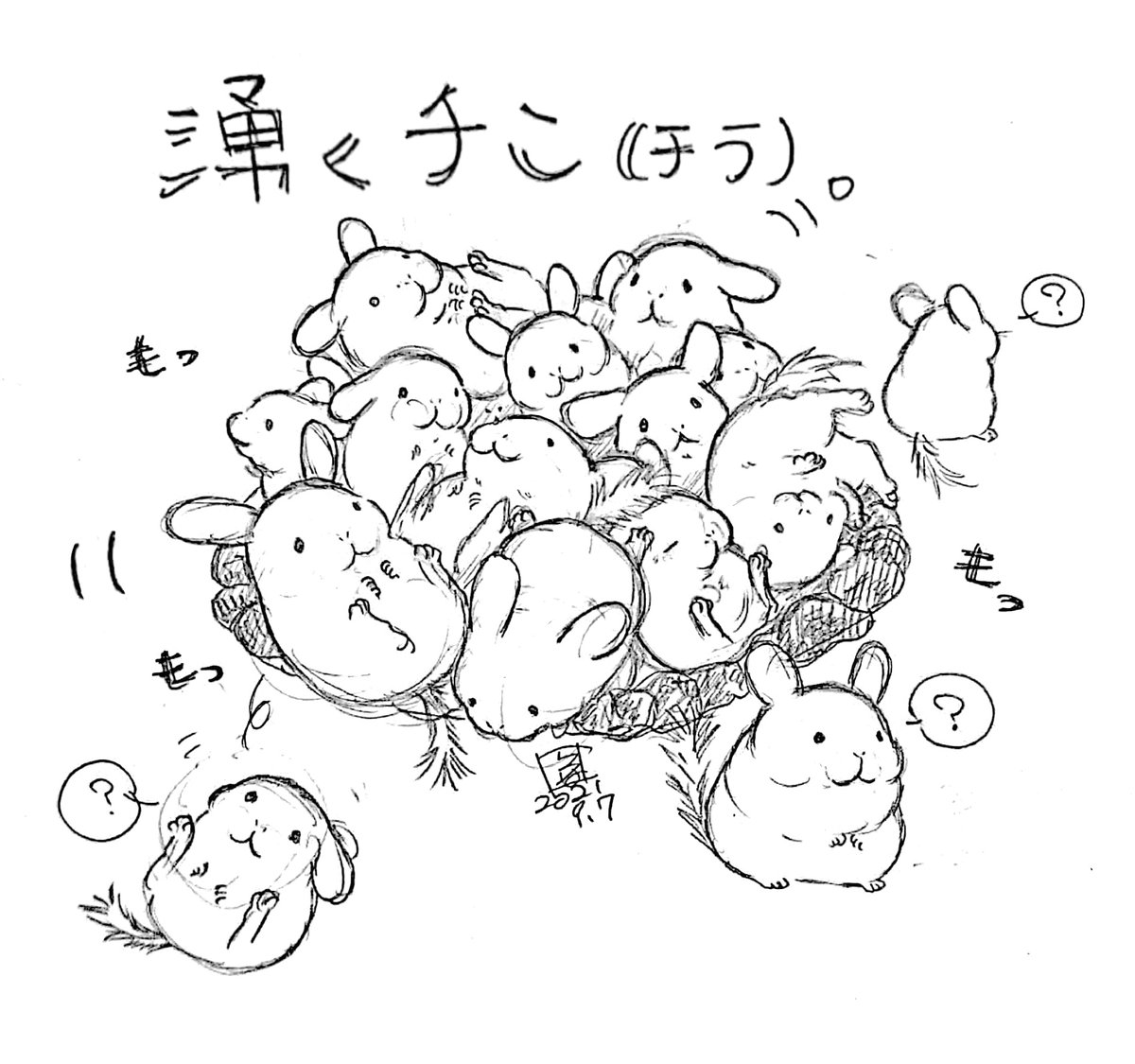 ワクチン。
#chinchilla #チンチラ 