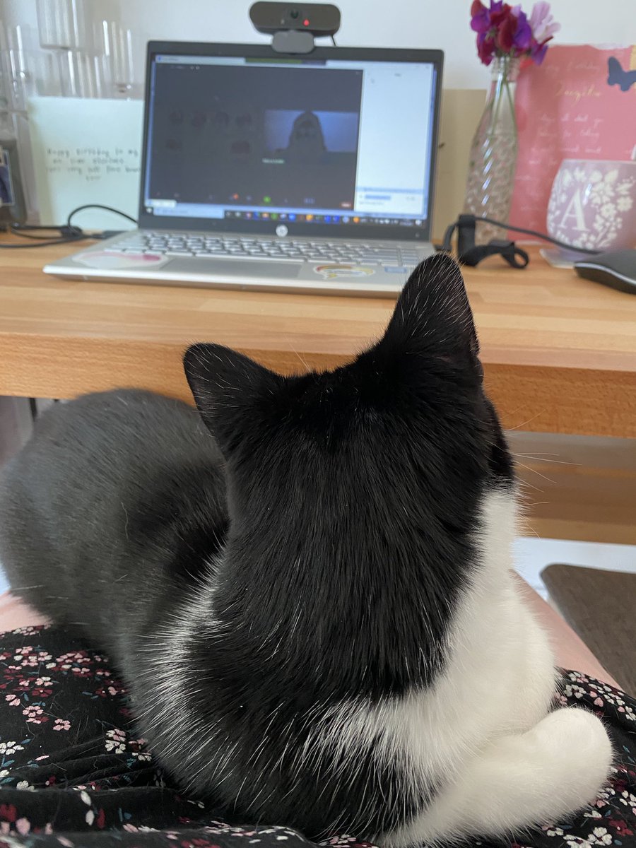 BCOVS 2021 (@BCOVS2021) / Twitter