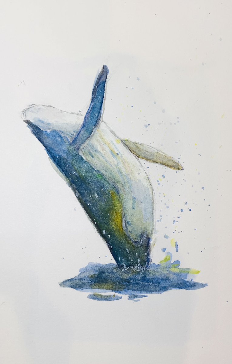 昔描いたやつだけど綺麗に描けたと思った水彩のクジラ うどんこのイラスト