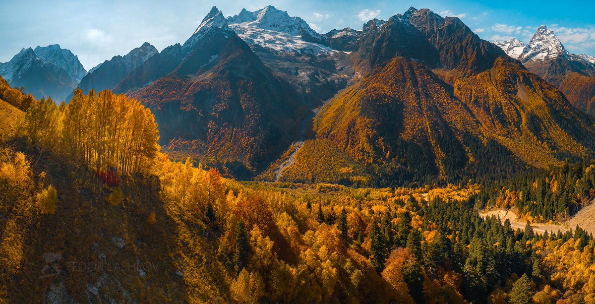 RussiaTrek's tweet photo. Golden autumn in the area of Dombay - a resort village located at an altitude of about 1,600 meters at the northern foot of the Greater Caucasus in the south of the Karachay-Cherkess Republic #Russia Photos by: Fedor Lashkov. https://t.co/aRW8dIr4yy