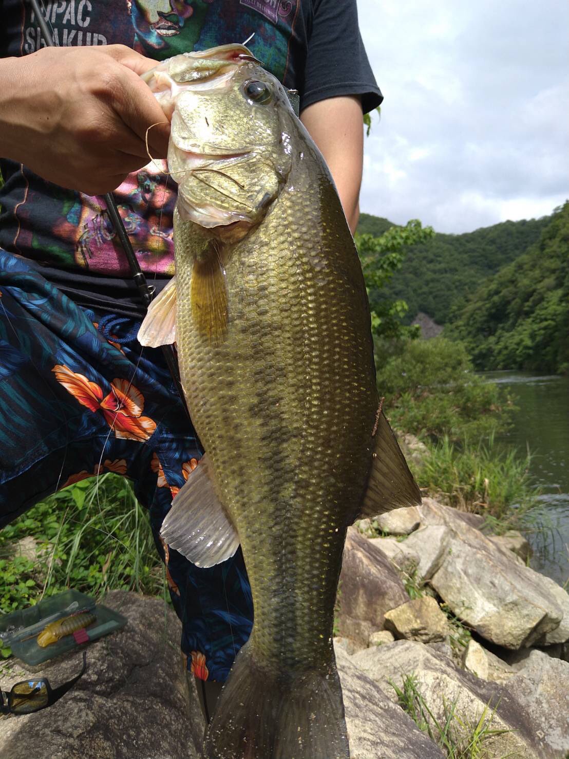 広島バス釣り Twitter Search Twitter