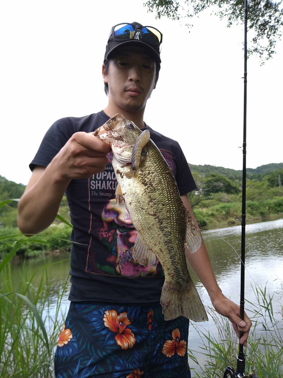広島バス釣り Twitter Search Twitter