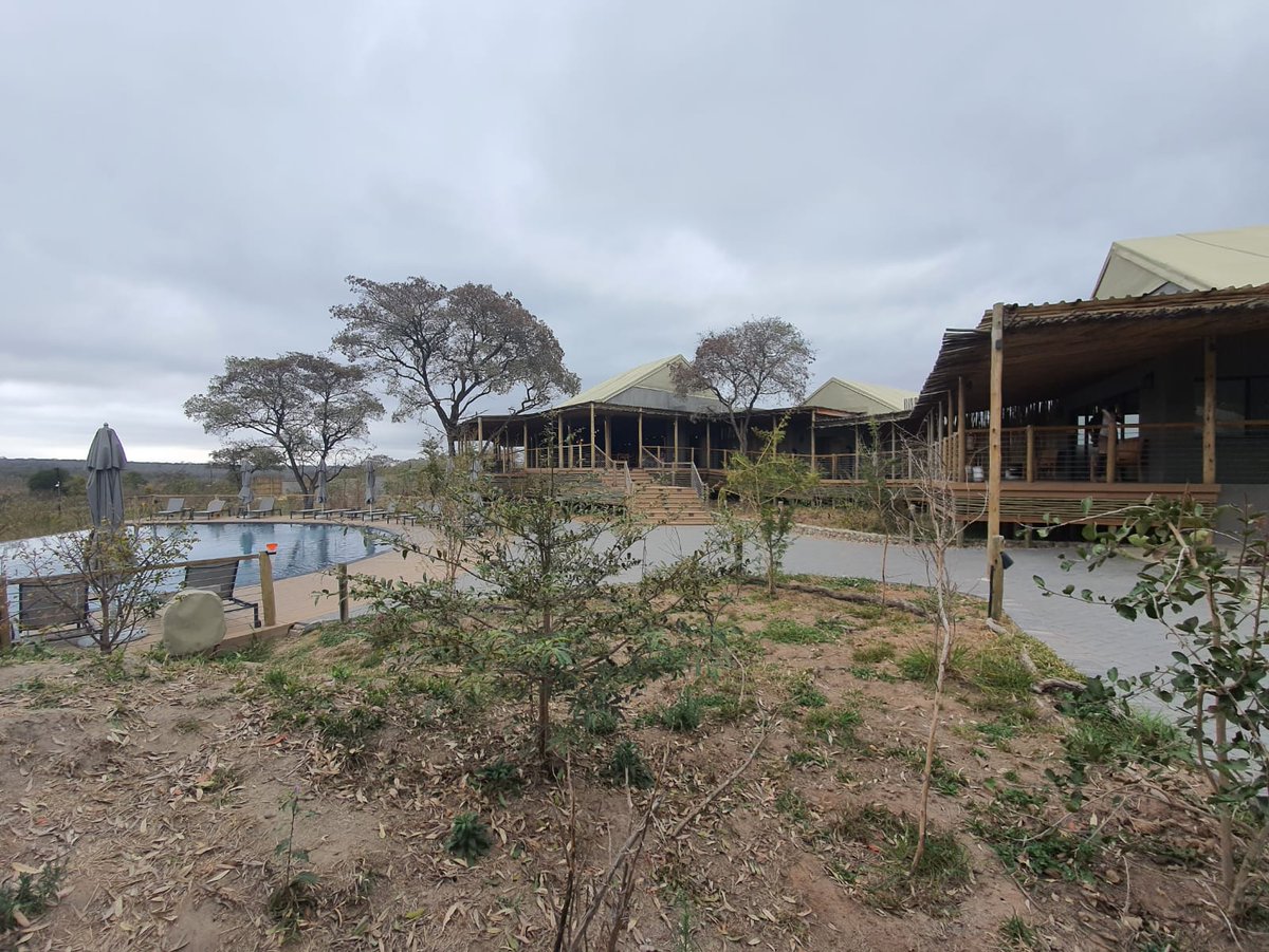 SenseOfAfricaSA's tweet photo. #SouthAfricaIsTravelReady 🇿🇦- Suzanne Benadie our Sales and Marketing Director, and Merle Kwan our Operations Director, are enjoying a 2 night getaway with the management team of Sense of Africa at Mdluli Safari Lodge.

#WeDoTourism #SenseOfAfricaSA @SANParks https://t.co/Sz8hCIk8mg
