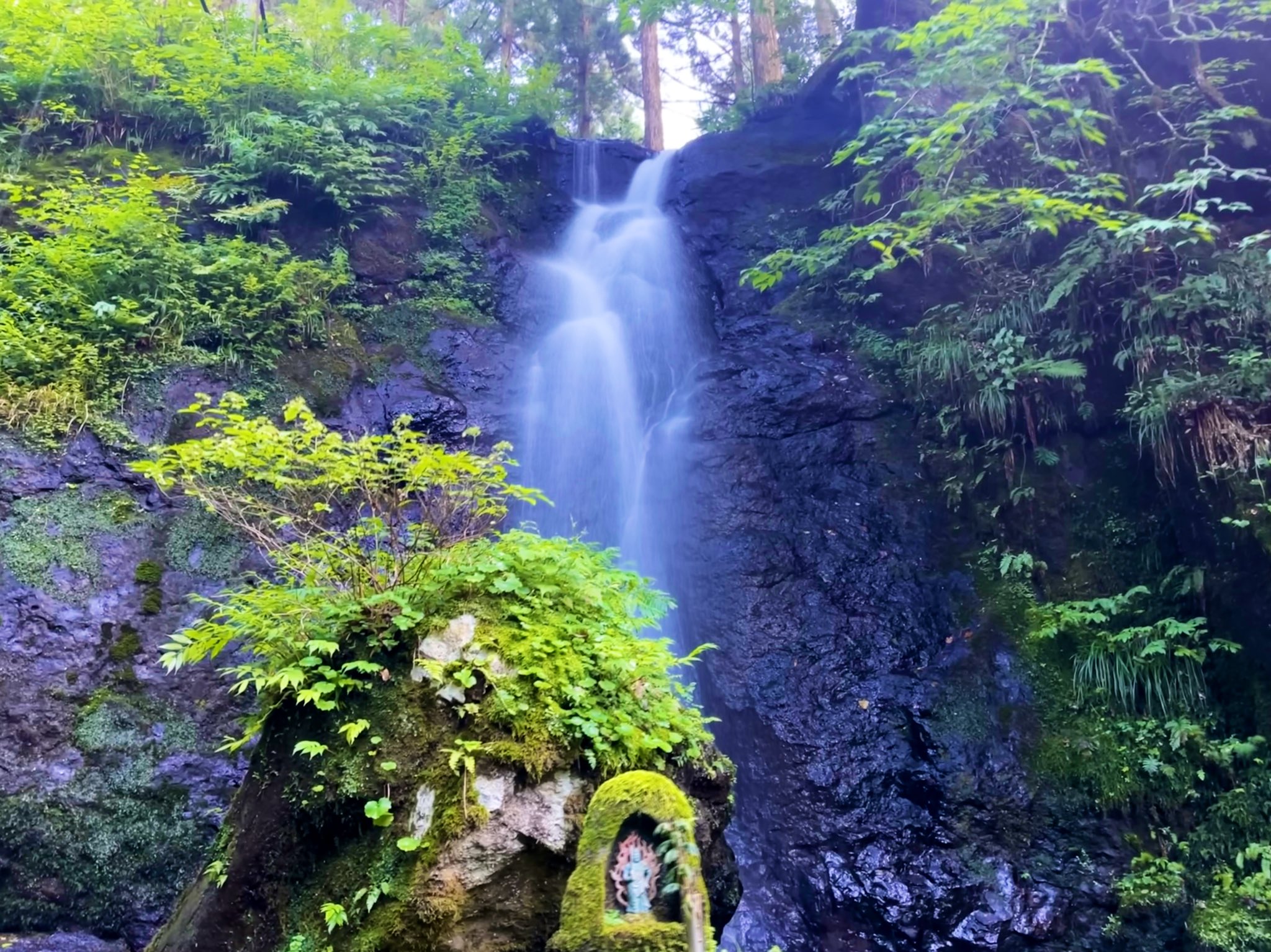 とやま暮らし 富山の地域情報サイト 苔が美しい 滝が美しい ジブリっぽい 有名な観光スポットじゃなくても こんな場所が意外と沢山あるのが 富山という田舎 こんな良さを ちゃんと発信していきたい 何もない より 何かある そう考えた方