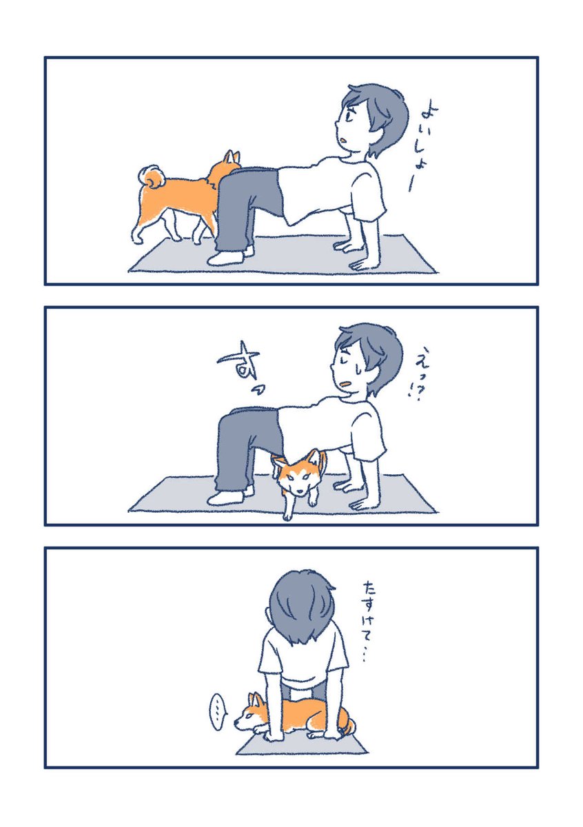 【犬の漫画】
じゃまかわいい 