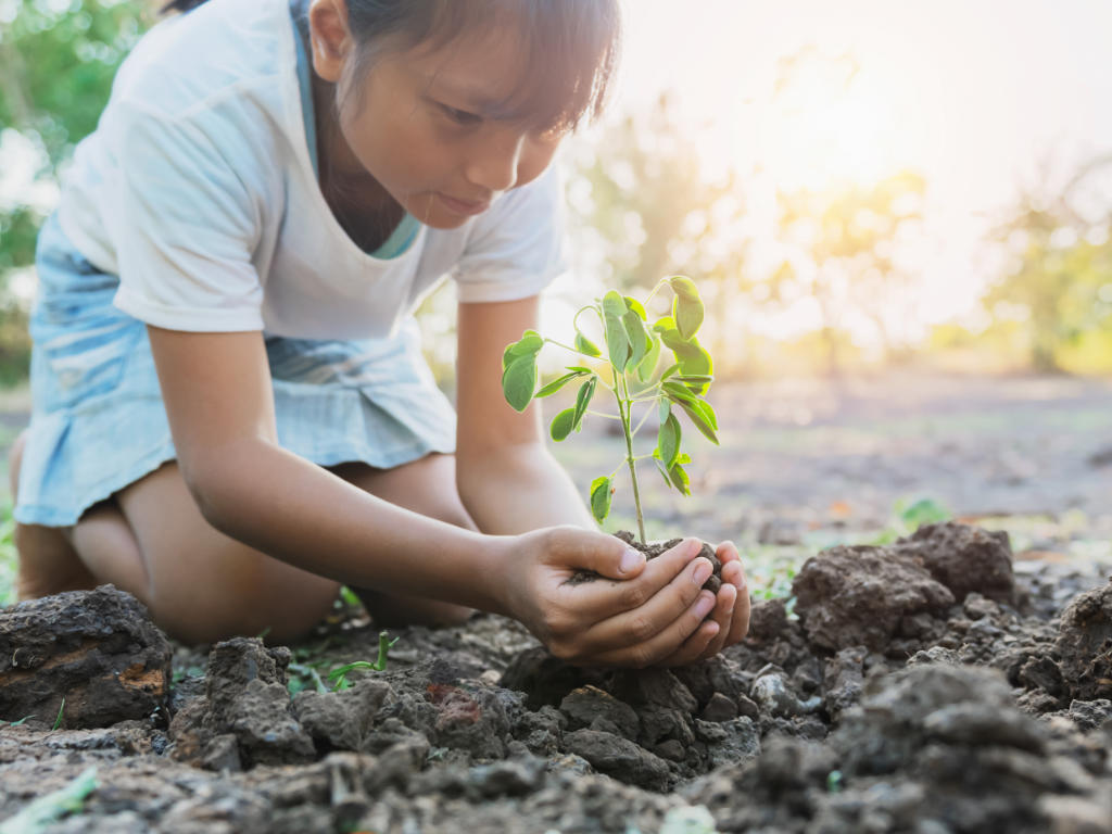 BlackCabCoffee's tweet photo. PLANTING A TREE FOR EVERY COFFE YOU DRINK! Find out more about this wonderful initiative and how you can lend the planet a helping hand every time you come in for a coffee, Read more in our blog:
https://t.co/zD8ElhSJ1X
#ClimateAction #CoffeeLovers #Ecology https://t.co/wW0043JF4c