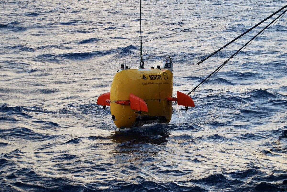 DSBSoc's tweet photo. East Pacific Rise cruise continues decades of research on vent community recovery and connectivity
#DeepSeaProject #DeepSeaExpedition #DeepSeaLife
https://t.co/hnW1HjScE8 https://t.co/ixhu3wA3nT