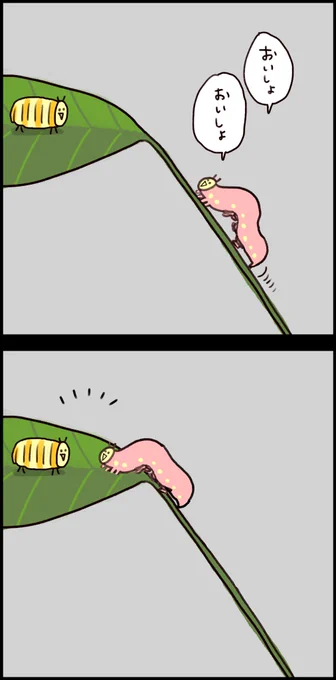 人類、これくらい平和になって欲しい…🐛 