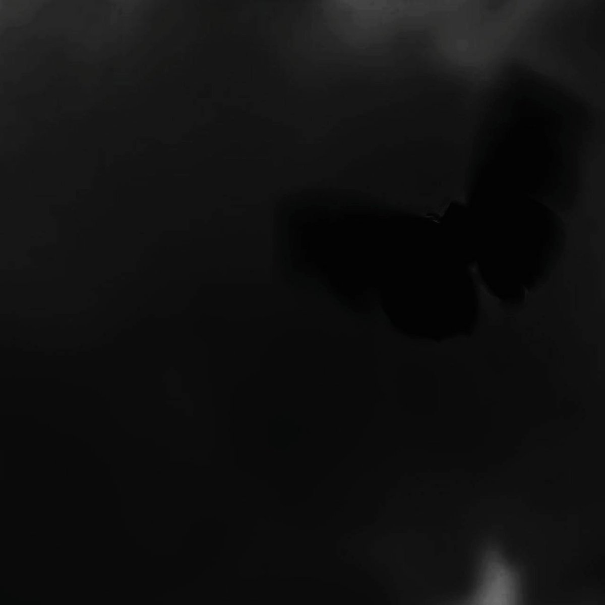 𝐽𝑢𝑠𝑡. tweet media