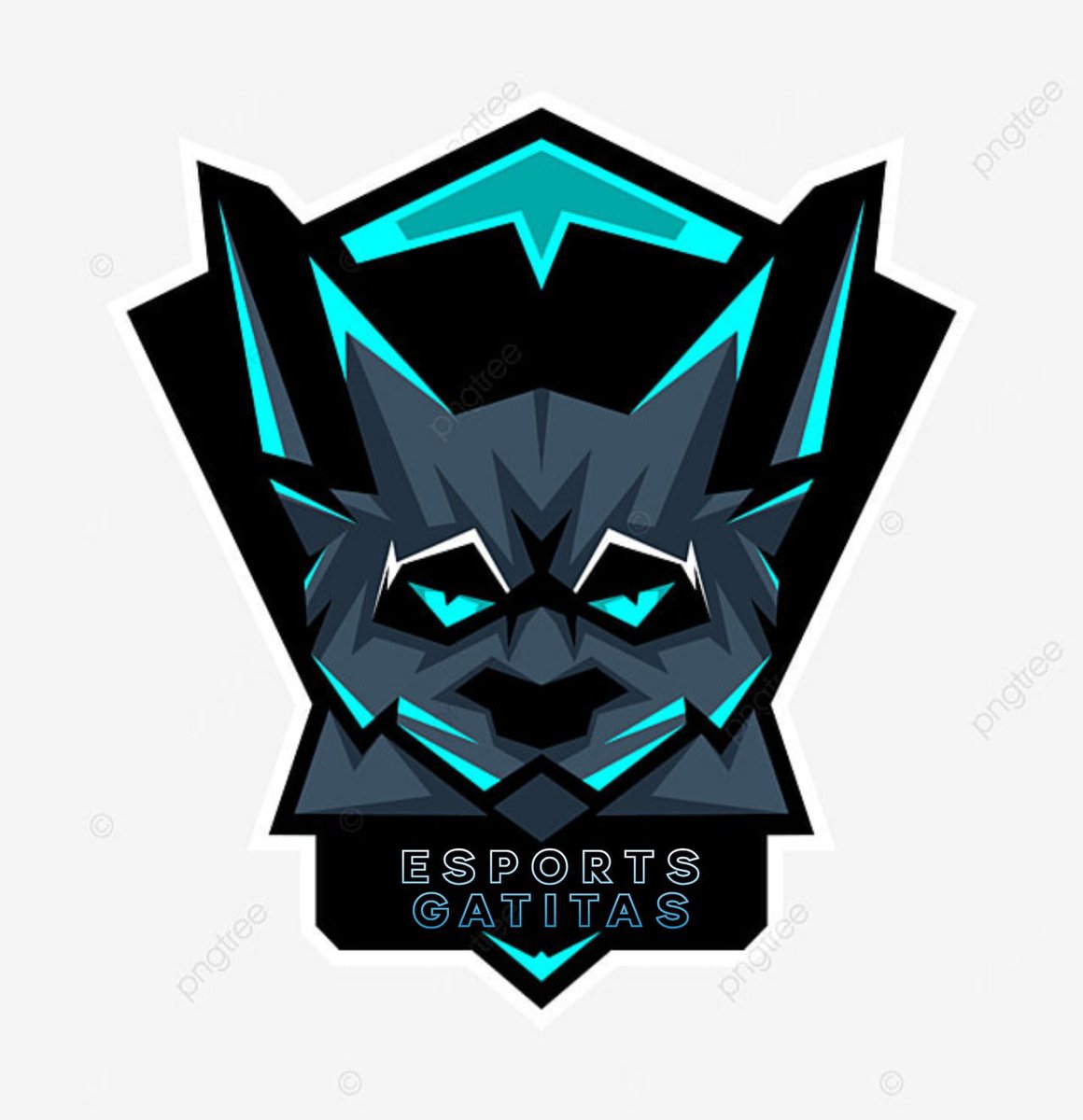 Nuevo escudo del equipo🤯🐯