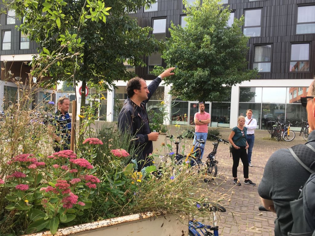 Vanochtend was Rotsoord een van de haltes in de <a href="/NRPAcademie/">NRP Academie</a>-excursie begeleid door <a href="/knikkebloo/">rutger oolbekkink</a>. Leuk om een bijdrage te leveren door te vertellen over vergroening van onderop, de  #zusterpark-beweging en het belang van groene verbindingen binnen&amp;buiten de stad #sameneengrootpark