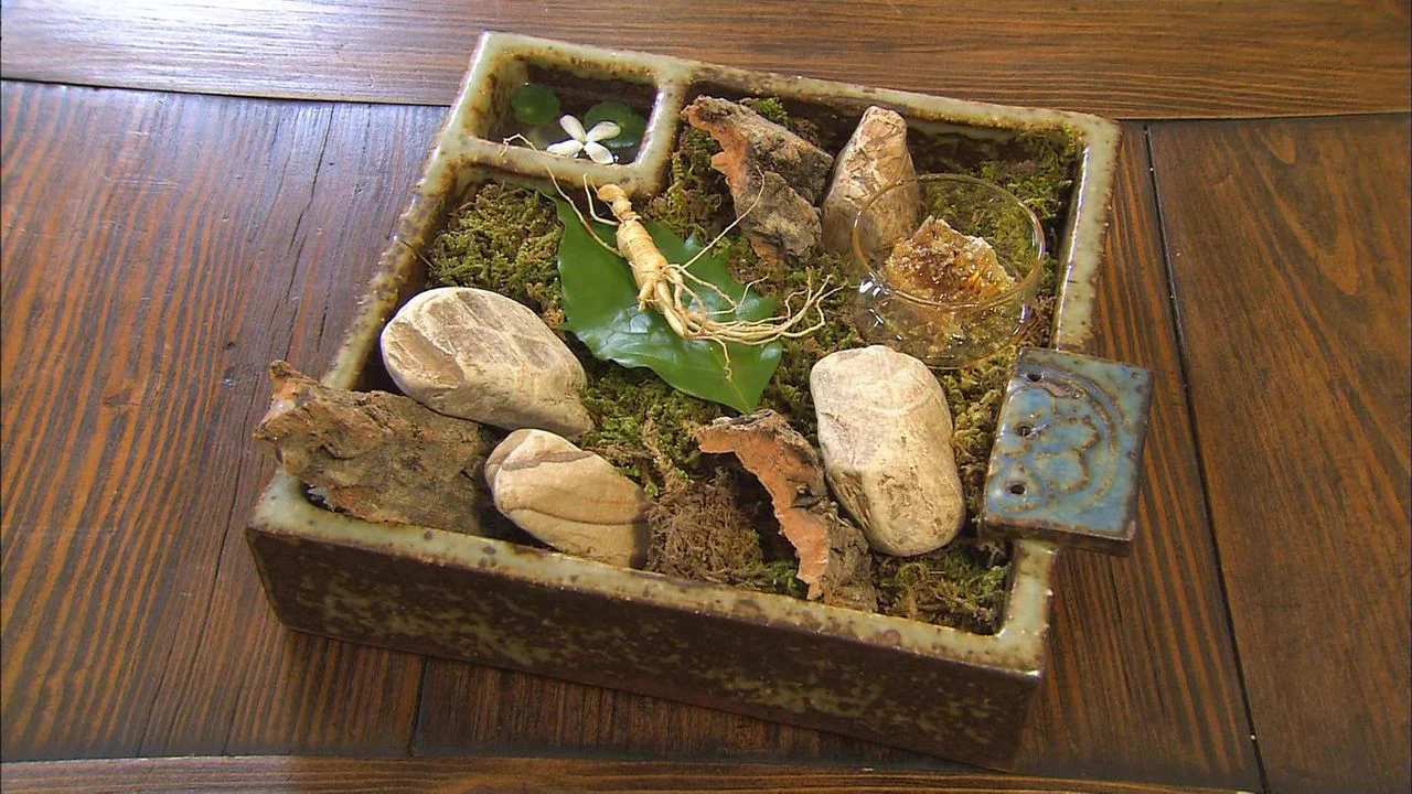 @sano_sano_sano_ ジオラマ飯思い出したというね… 