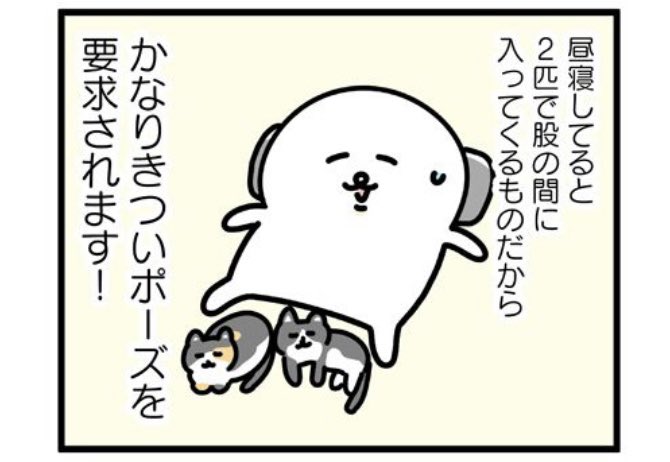 文春オンラインにて連載中「あざらし、猫をかう。」7話後編が更新されました〜!最終回です!🐈🐈

こちらから読めます!⤵
https://t.co/sgve4iw21i 