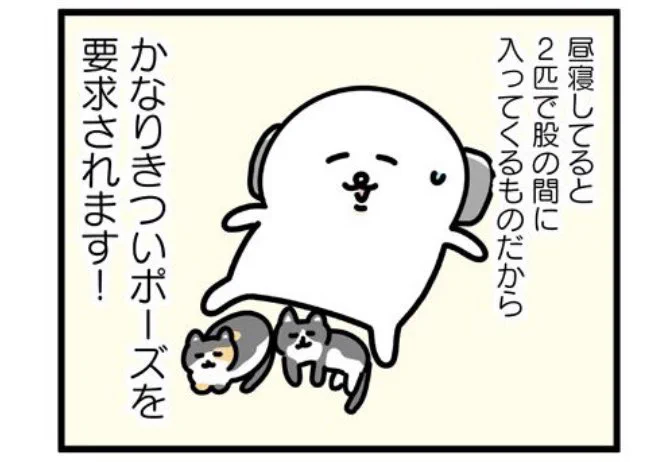 文春オンラインにて連載中「あざらし、猫をかう。」7話後編が更新されました〜!最終回です!こちらから読めます! 