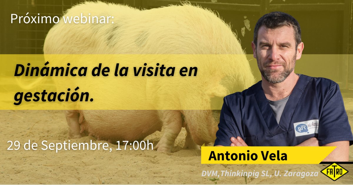Fatroiberica's tweet photo. ¡Próxima sesión de miércoles porcinos! El 29 de septiembre a las 17h, Antonio Vela (DVM, Tinkingpig, Univ. de Zaragoza) nos hablará de la Dinámica de la visita en gestación.
Apúntate ya en 👉https://t.co/s2Lb7EGpU0
#pigs #porcino #farm #vet #vetmed #Fatro https://t.co/lE1MjPIBaP