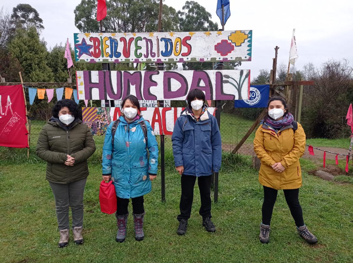 centrohumedales's tweet photo. ¡Somos tan felices haciendo actividades con niños! El sábado estuvimos con el equipo científico de la Esc. El Bosque en el humedal Angachilla grabando sonidos para identificar especies de anfibios para el Prog. Abramos Nuestros Laboratorios del PAR Explora Los Ríos #ValdiviaCL https://t.co/CIjOfxnBXf