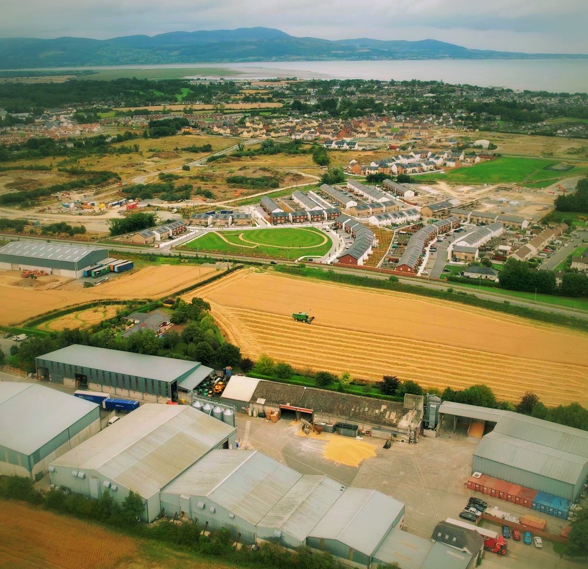 Pot Still Rye is being harvested for our friends at <a href="/boanndistillery/">Boann Distillery</a>

We will have a closer look in the coming days; stay tuned.

If you are interested in distilling contact us...

Email: aonghus@malt.ie

#whiskey #distillery #distilling #rye #crop #potstilled #potstillwhiskey