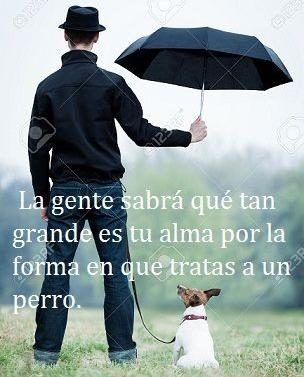Rafa_espinal's tweet photo. https://t.co/mycvKrjIOu