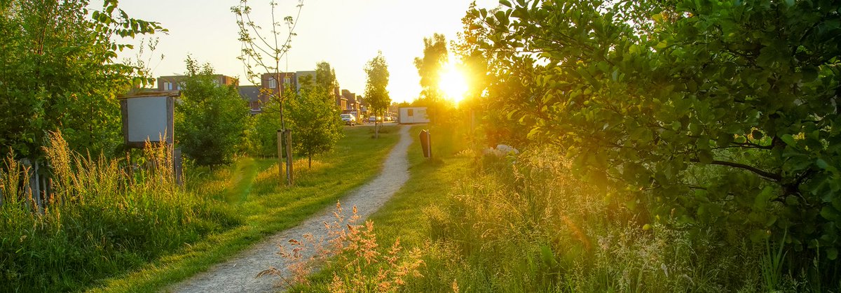 Voor HOEK is het iedere dinsdag (én alle andere dagen van de week) een duurzame dag. HOEK gaat iedere dag opnieuw voor een wereld waarin we biodiversiteit en klimaat beschermen. De Sustainable Development Goals zijn daarin onze leidraad. Samen in actie! #duurzamedinsdag