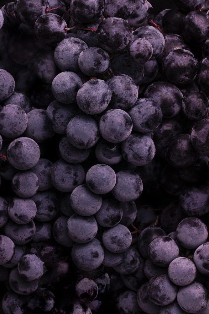 EscapadasM's tweet photo. En la piel de la uva abunda la melatonina, una hormona que también produce el cerebro humano y que regula los ciclos de sueño, aumentando al llegar la noche. Eso explica por qué el vino produce somnolencia. 🍇🍇 https://t.co/4rAt8AZCKX