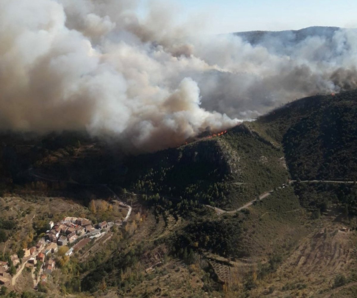 Medi XXI GSA tweet media