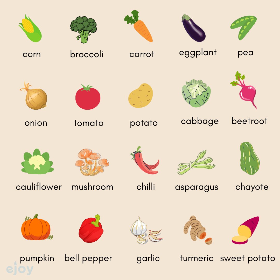 eJOY ENGLISH on Twitter "VEGETABLES VOCABULARY IN ENGLISH 🍆 🍅 🌽 Learn