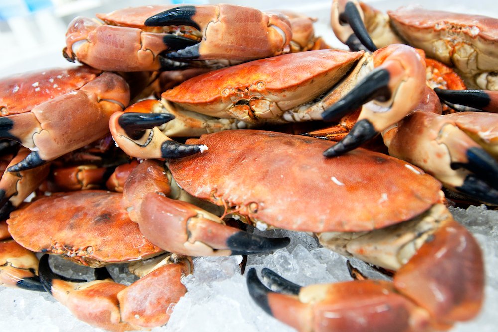 Want to join our team? We are hiring! 
We have vacant positions including a Shellfish Processor and Retail Assistant that we wish to fill urgently due to the continued growth of our family business. 
crabmeat.co.uk/careers/
