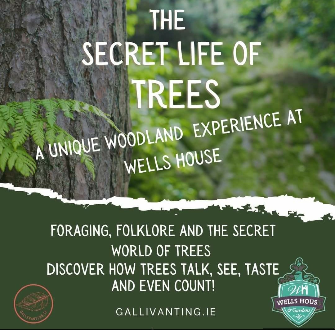 Want to get more out of your walks? Join me this Thursday for the first of my autumn seasons guided #walkswithawitch and uncover the secret life of trees in the stunning ground of <a href="/Wells_House/">Wells House Wexford</a>
<a href="/visitwexford/">Visit Wexford</a> <a href="/Love_Gorey/">LoveGorey</a> 
<a href="/Indo_Travel_/">Independent Travel</a>