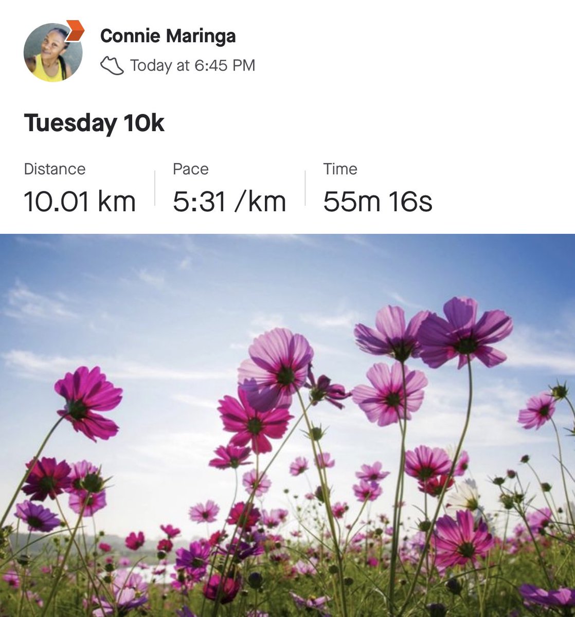 Connie____M's tweet image. I chose a 10k today 🌺 #RunningWithTumiSole #FetchYourBody2021 #SpringRuns