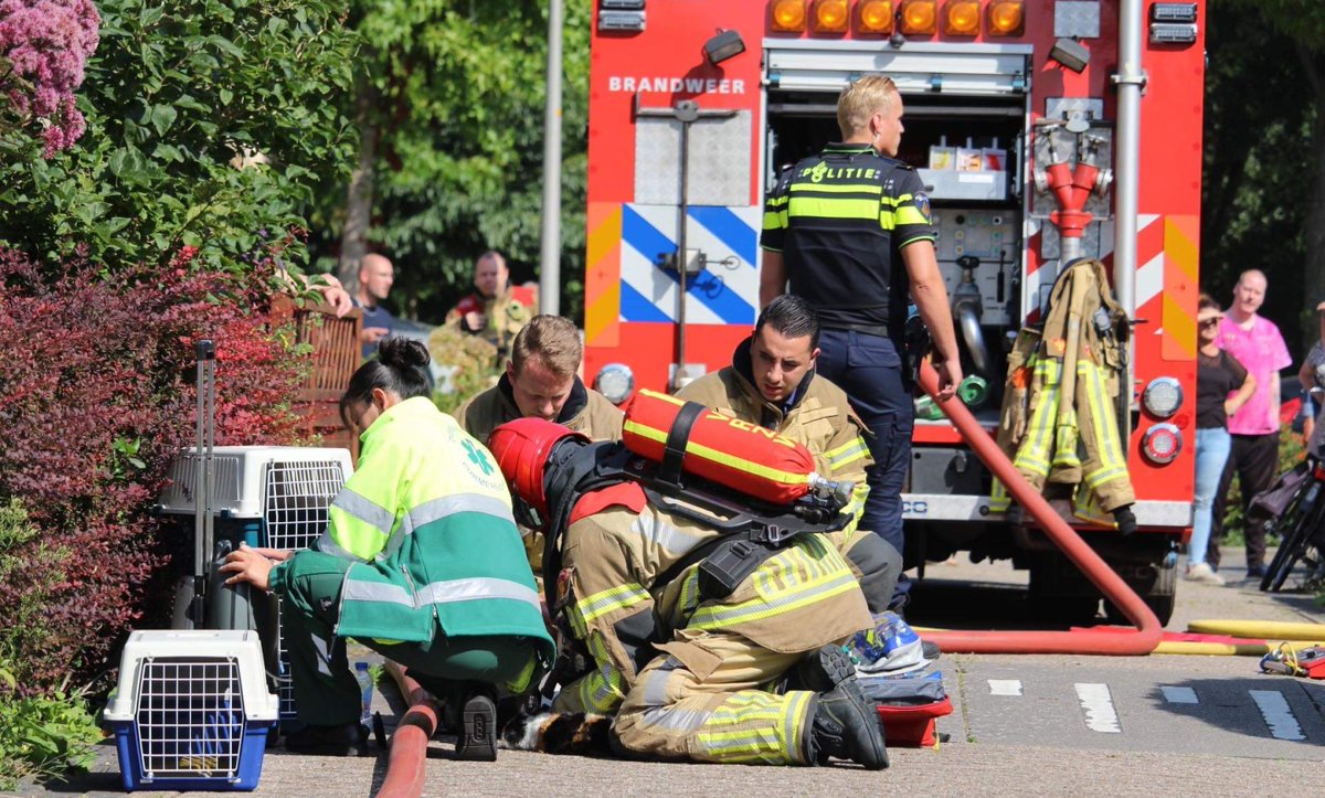 Keukenbrand in woning Kopakker – buurtbewoner en kat behandeld door ambulance
