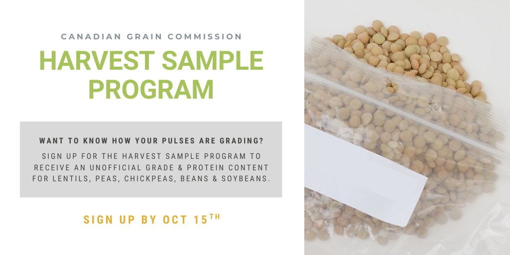 Did you know the Grain Research Laboratory uses your samples in scientific research projects? Submissions to the #HarvestSampleProgam enable the CGC to research grading factors, grain quality &amp; safety issues that may affect end-use quality of CDN grain. ow.ly/9GmD50FvmQT