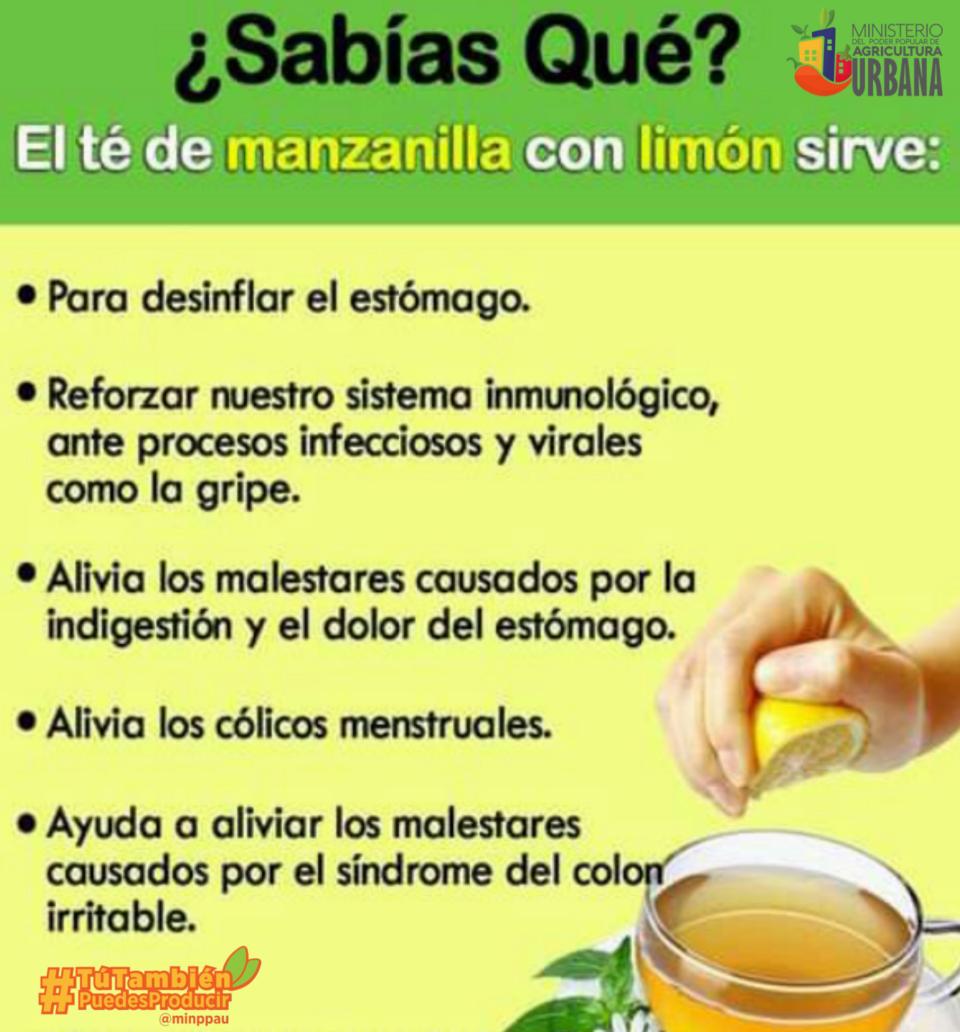 Introducir 41+ imagen recetas para dolor de estomago Abzlocal.mx