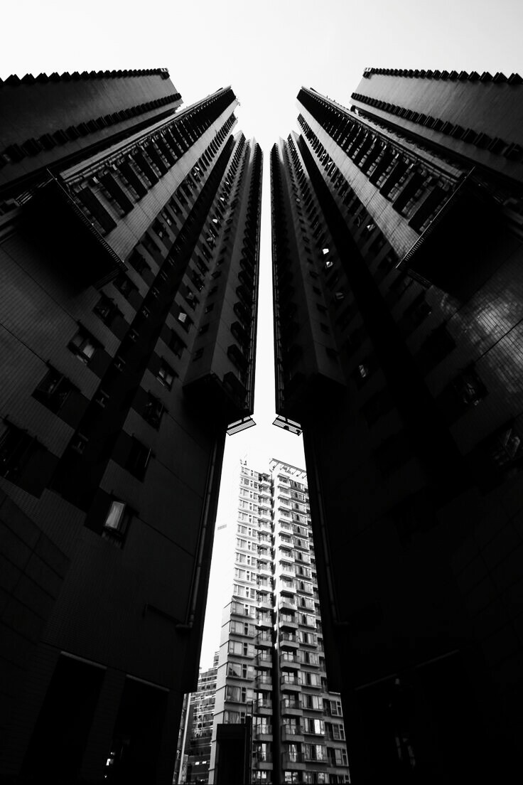 Archillect (@archillect) on Twitter photo 