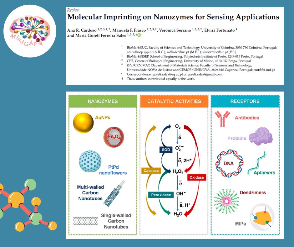MindGAP FET-Open tweet media