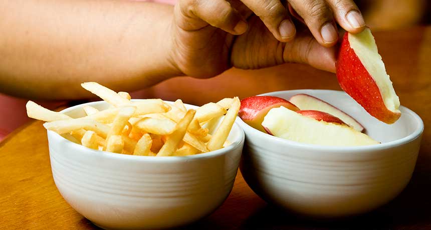 lsuedining's tweet image. Creating healthy habits is as easy as taking it one meal at a time. Celebrate the small wins like choosing a fruit cup over fries as your side or going on a walk when you don't have a ton of motivation. You got this, Tiger!🍎😋