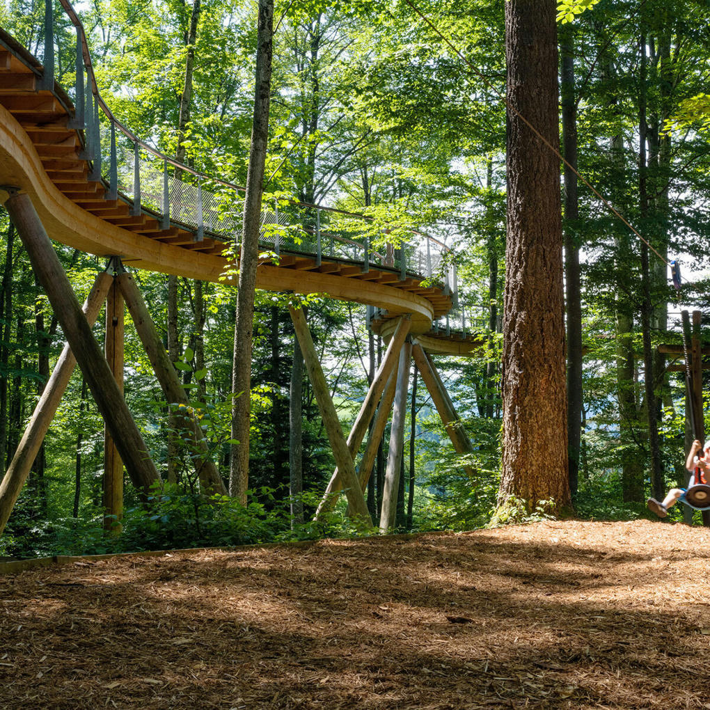 RolandSchegg's tweet image. Gewinner Publikumspreis Prix Montagne 2021: Baumwipfelpfad Neckertal prixmontagne.ch/projekte/baumw… #prixmontagne #berghilfe @Promontagna