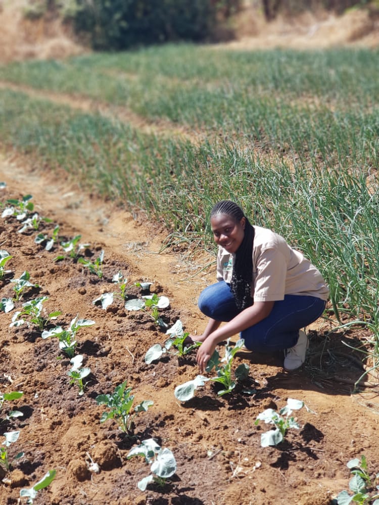 Maruva Murimi MaNdlovu tweet media