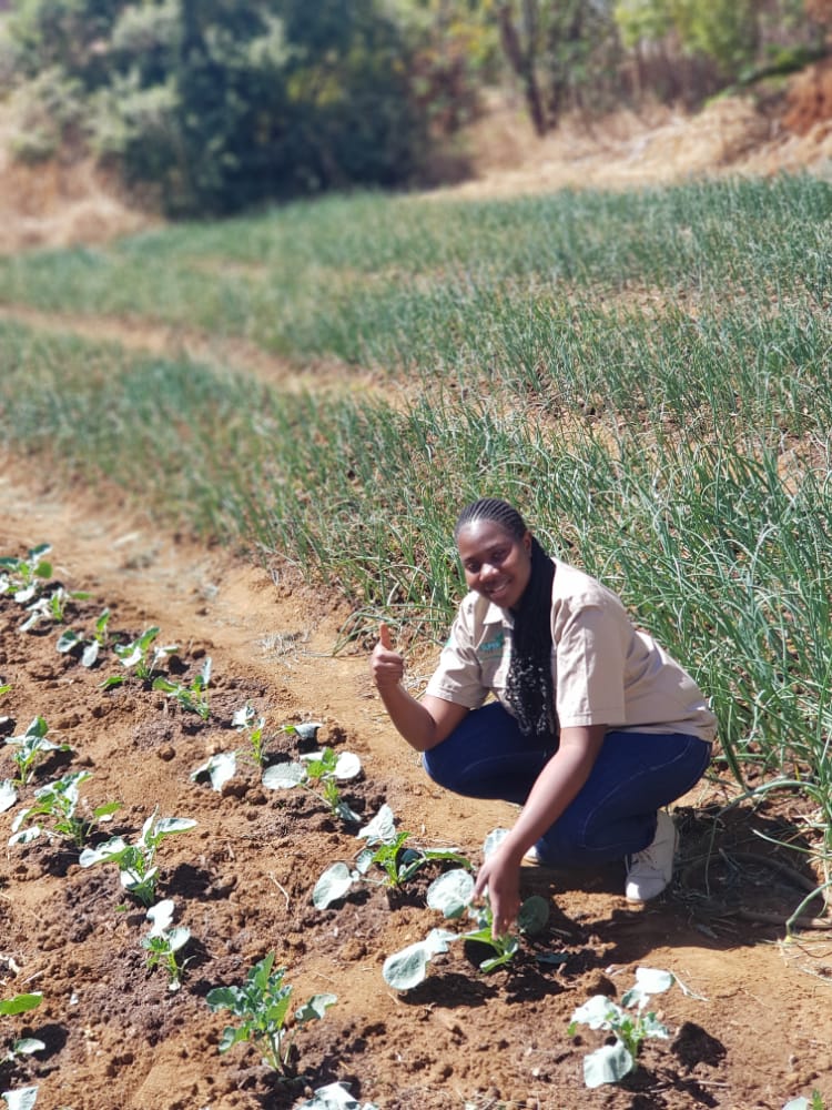 Maruva Murimi MaNdlovu tweet media