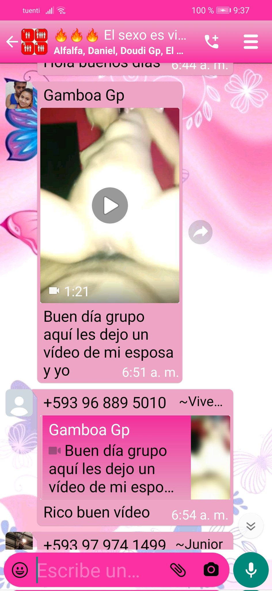 lady holguin on X: t.corREUEYAVa7 t.coM0183Yib8X  X