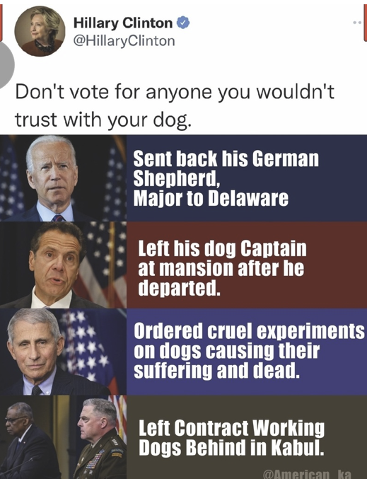 T Dog (@c4user) / Posts / X