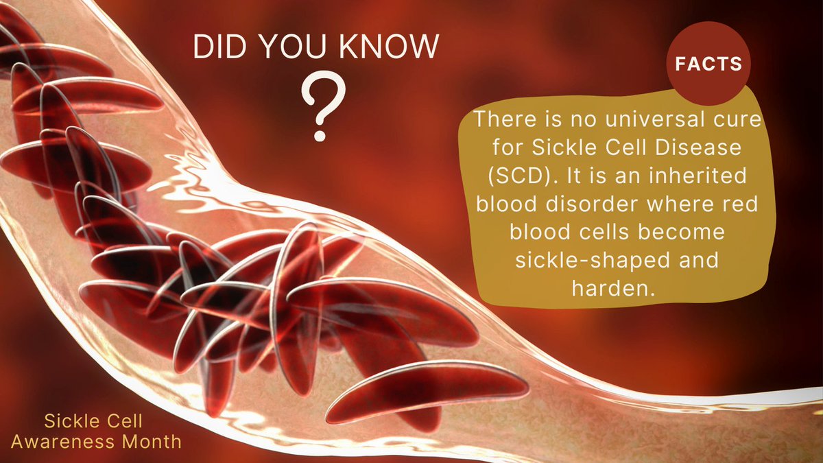 The Sickle Cell Foundation of Tennessee (@sicklecelltn) on Twitter photo Join the cause and spread awareness as we support those affected by Sickle Cell Disease!
#SickleCellAwarenessMonth #SickleCellAwareness #SickleCellFoundationTN #SickleCellDisease Join the cause and spread awareness as we support those affected by Sickle Cell Disease!
#SickleCellAwarenessMonth #SickleCellAwareness #SickleCellFoundationTN #SickleCellDisease