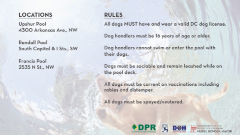 DC Parks & Recreation #WhereFunHappens tweet media