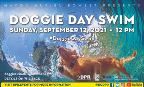 DC Parks & Recreation #WhereFunHappens tweet media