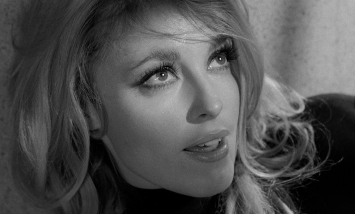 criterionchannl's tweet photo. EYE OF THE DEVIL (1966), now playing in our 17-film Deborah Kerr series! 🖤https://t.co/ZdUzJDHwq4

A French château and its vineyards are the setting for gothic thrills in this haunting excursion into the occult starring Kerr &amp; David Niven alongside Sharon Tate &amp; David Hemmings! https://t.co/y7z33UKJD1