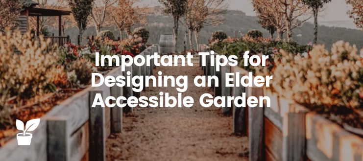 This article provides valuable tips for designing an elder accessible garden to enjoy a flowering garden, such as reducing bending, crouching, etc...

irrigationsuppliesstore.com/elder-accessib…

#accessiblegarden #accessiblegardening #wheelchairgardening #seniorgardening #gardening #gardentips
